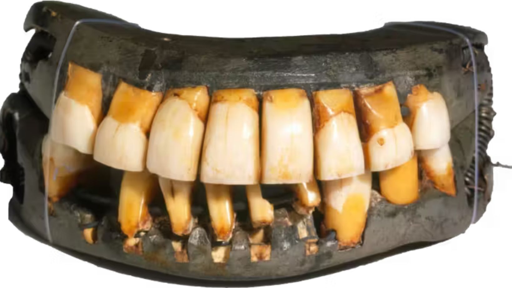 Did George Washington have wooden teeth?